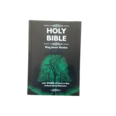 Holy Bible King James Version Small Size