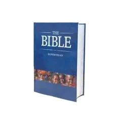 The Bible Illustrated Kjv Medium Hardcover